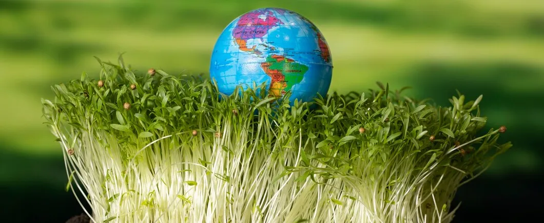 Global Agriculture Trade